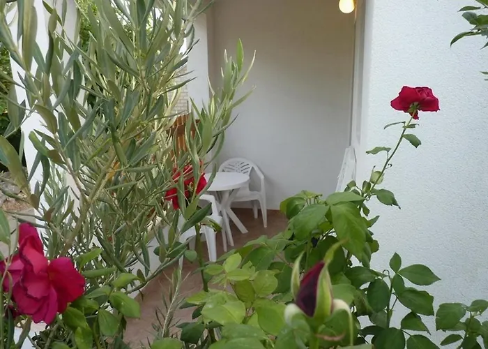 With Parking Space Nin, Zadar - 13158 Apartman *